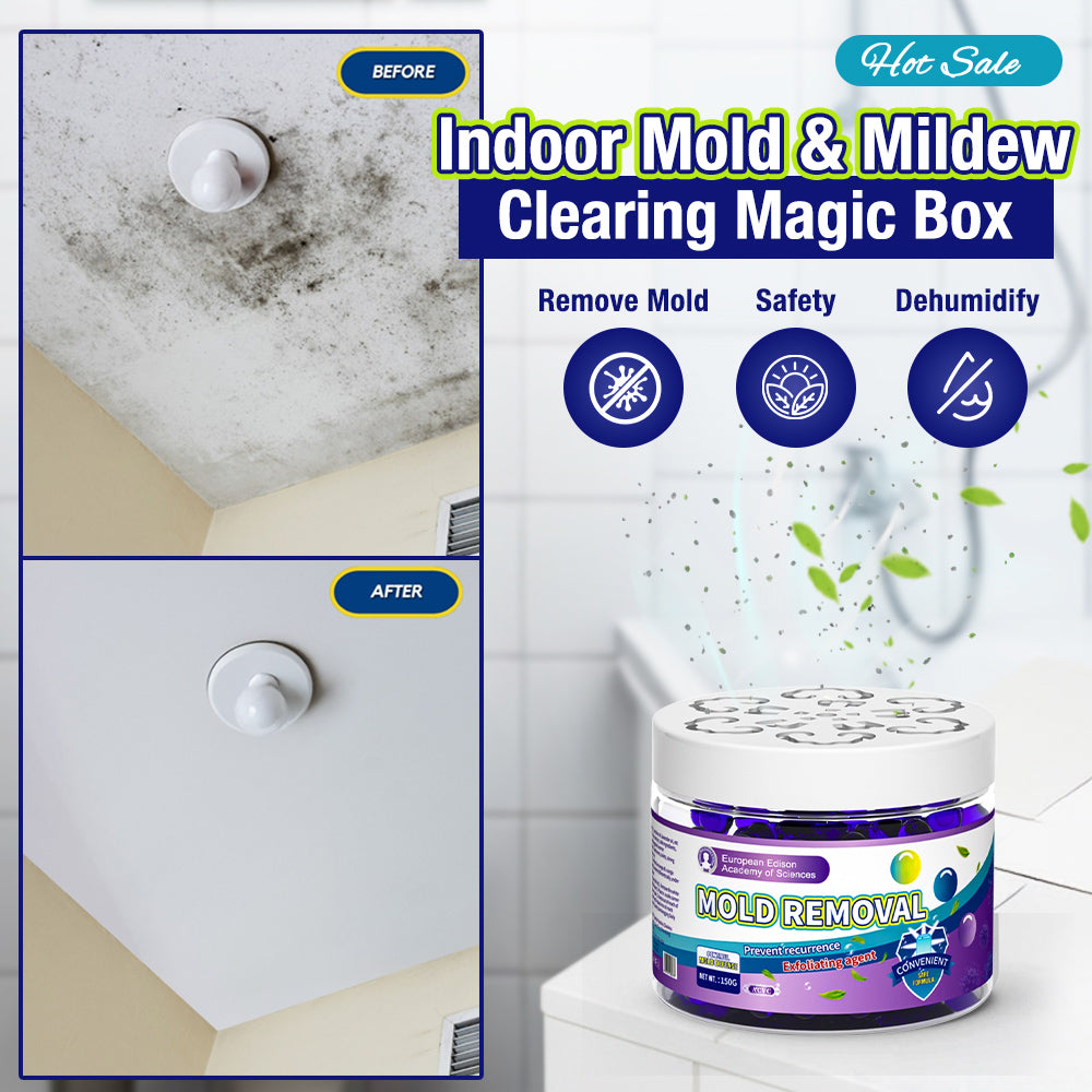 🔥Indoor Mold & Mildew Clearing Magic Box
