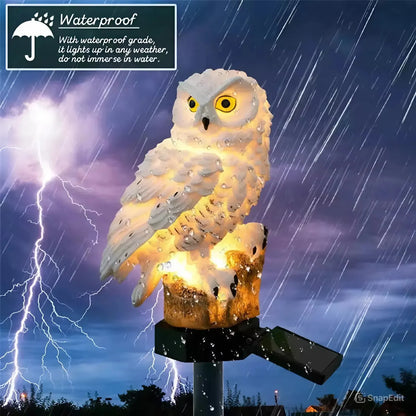 Solar Owl Light🔥GET IT NOW