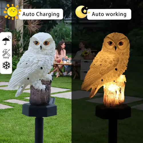 Solar Owl Light🔥GET IT NOW