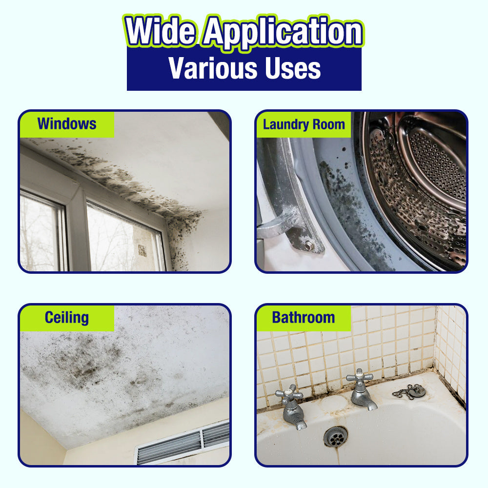 Indoor Mold & Mildew Clearing Magic Box