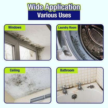 🔥Indoor Mold & Mildew Clearing Magic Box