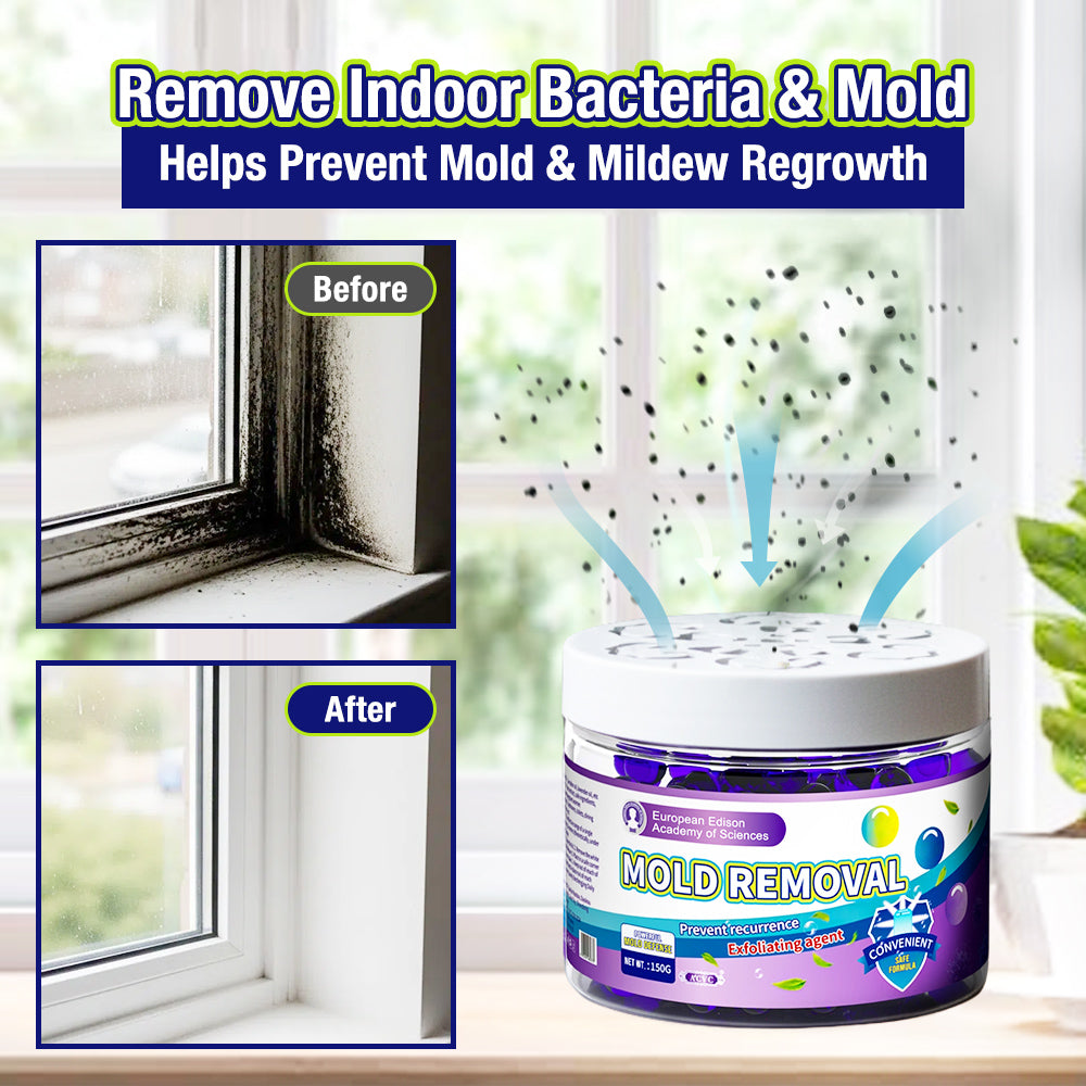 🔥Indoor Mold & Mildew Clearing Magic Box
