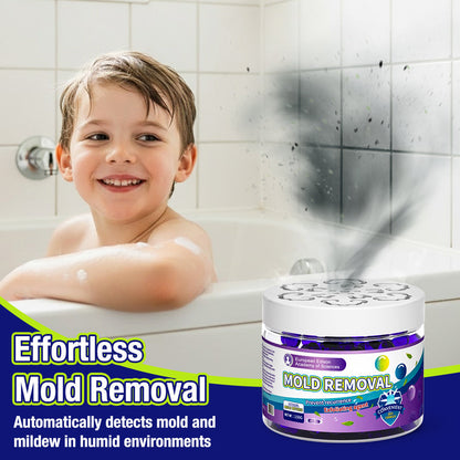 🔥Indoor Mold & Mildew Clearing Magic Box