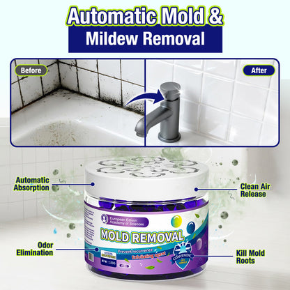 🔥Indoor Mold & Mildew Clearing Magic Box