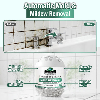 Rolimey® MoldiZero Mildew Clearing Magic Box