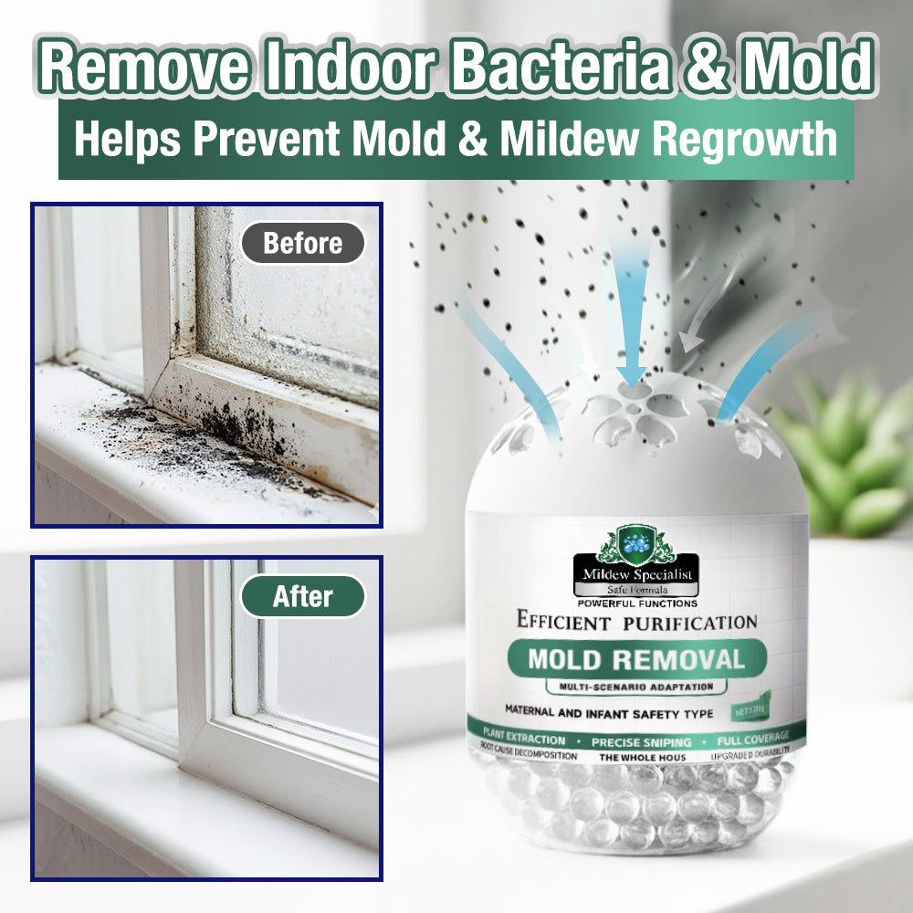 Rolimey® MoldiZero Mildew Clearing Magic Box