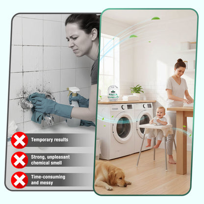 Rolimey® MoldiZero Mildew Clearing Magic Box