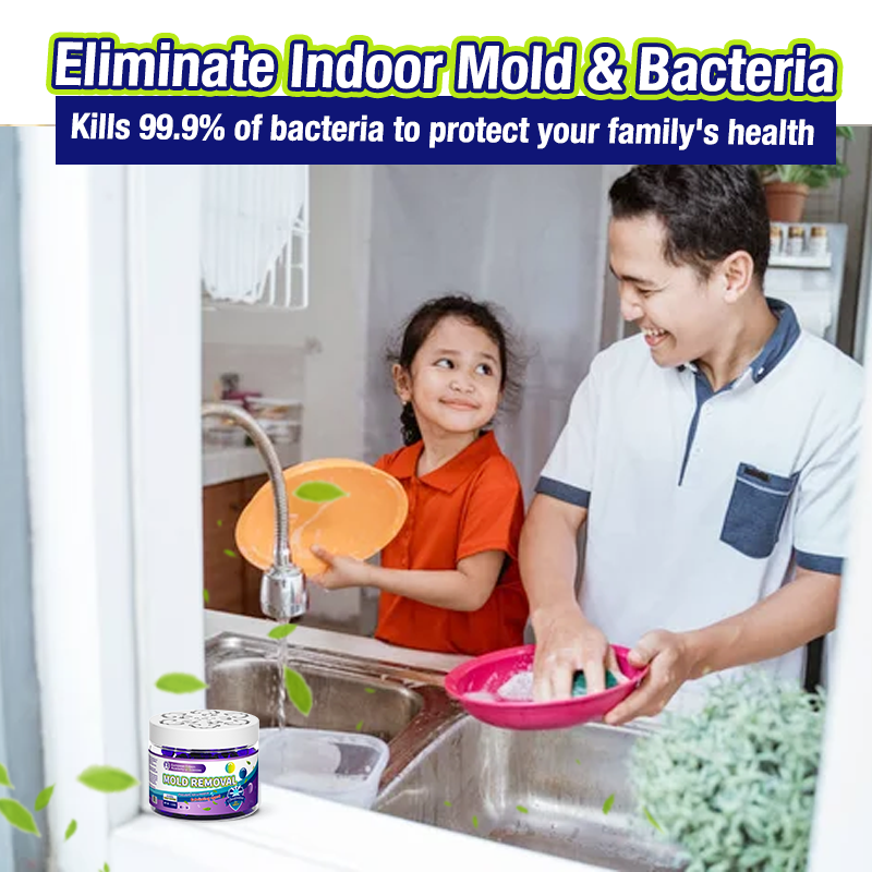 Indoor Mold & Mildew Clearing Magic Box