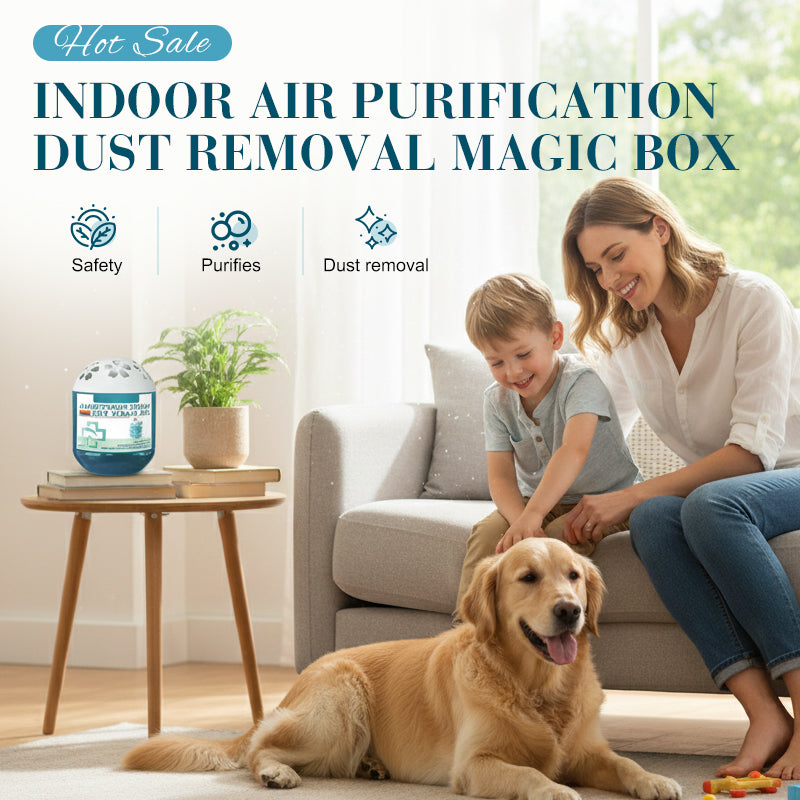 ⏰Aphine® Indoor Air Purification Dust Removal Magic Box🏠🌿