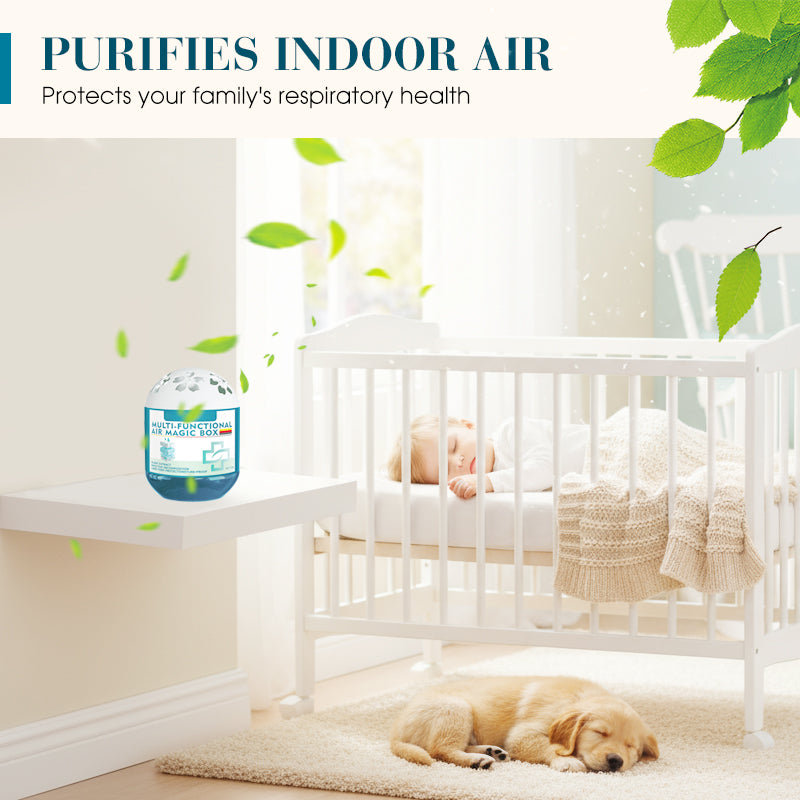 ⏰Aphine® Indoor Air Purification Dust Removal Magic Box🏠🌿